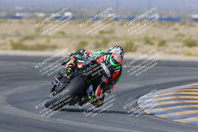 media/Mar-12-2023-SoCal Trackdays (Sun) [[d4c8249724]]/Turn 11 Backside (10am)/